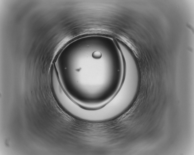 X0000096981275200802221426