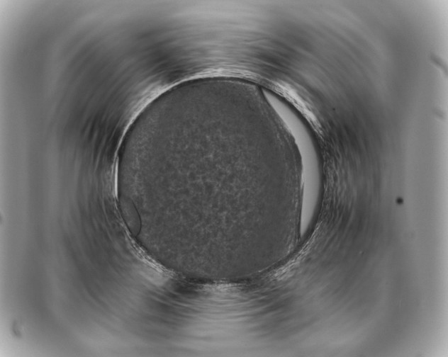 X0000096981276200802221426