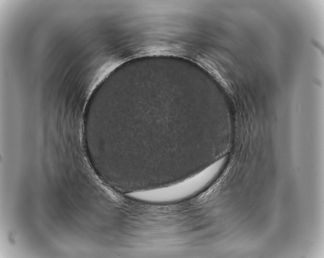 X0000096981277200802221426