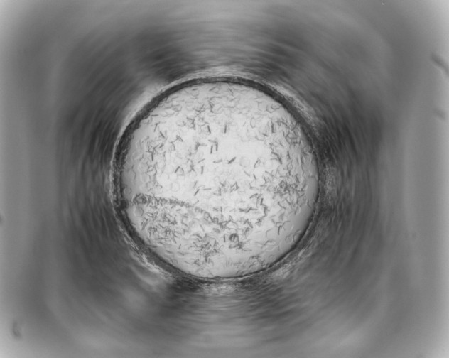 X0000096981278200802221426