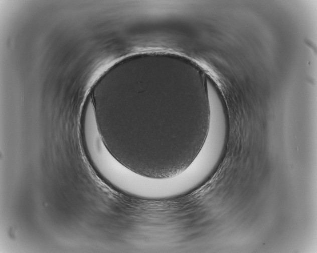 X0000096981279200802221426