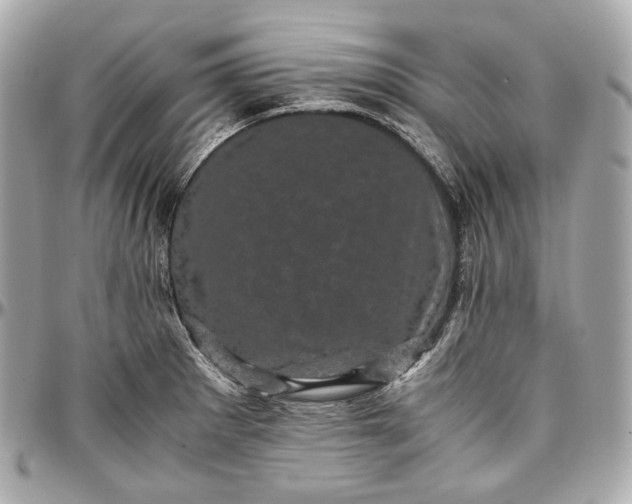 X0000096981281200802221425