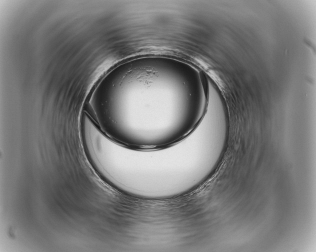 X0000096981283200802221425