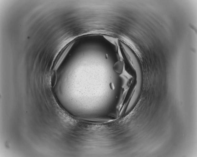 X0000096981284200802221425