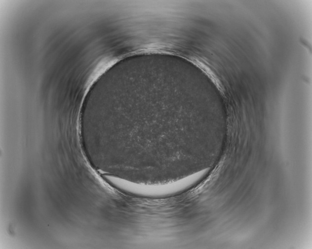 X0000096981285200802221425