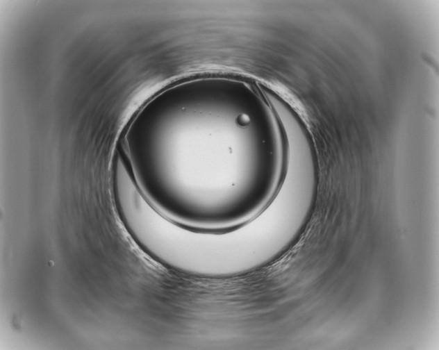 X0000096981287200802221425