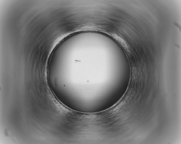 X0000096981288200802221425