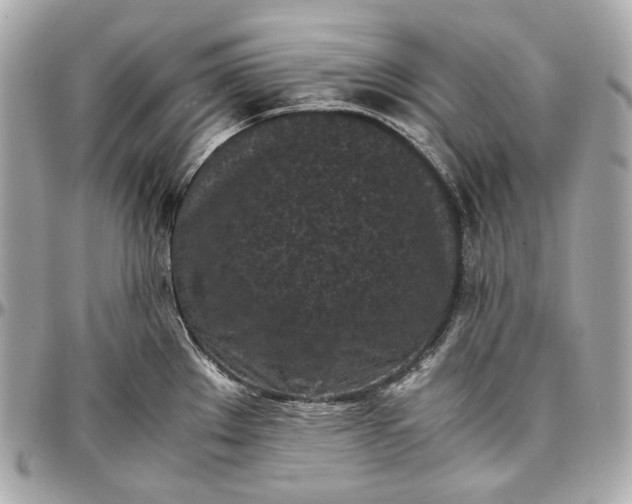 X0000096981289200802221425