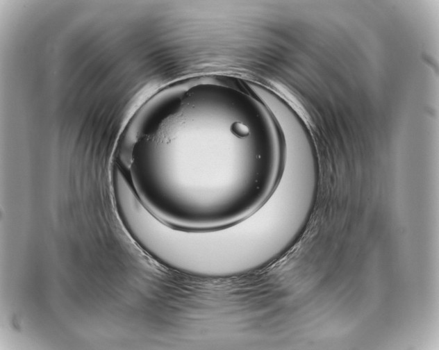 X0000096981291200802221425