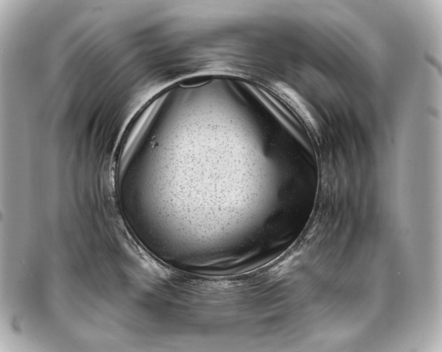 X0000096981292200802221425