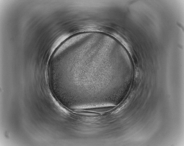 X0000096981293200802221425