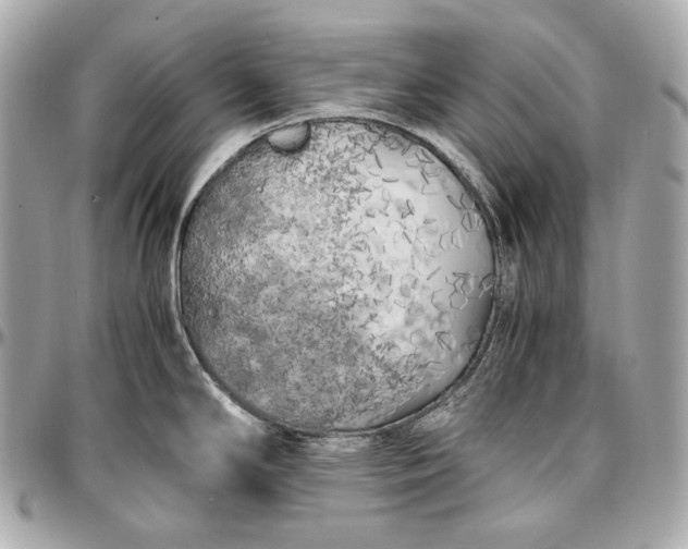 X0000096981294200802221425