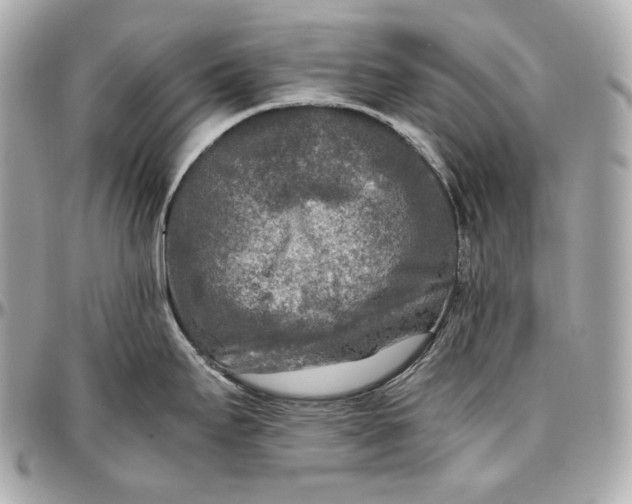 X0000096981295200802221425