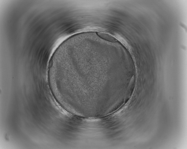 X0000096981296200802221425