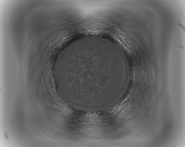 X0000096981297200802221425