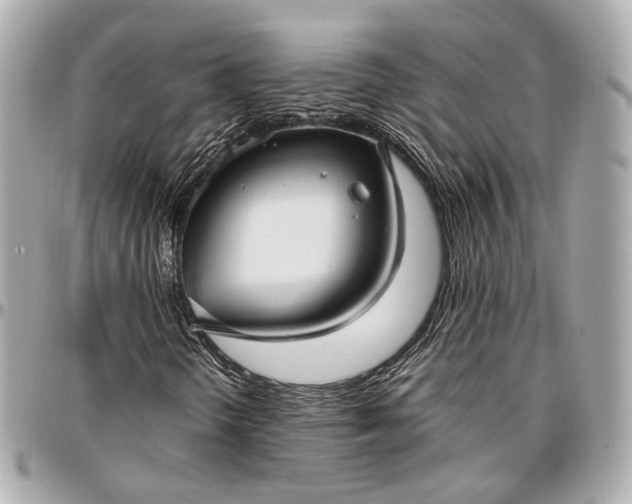 X0000096981298200802221425