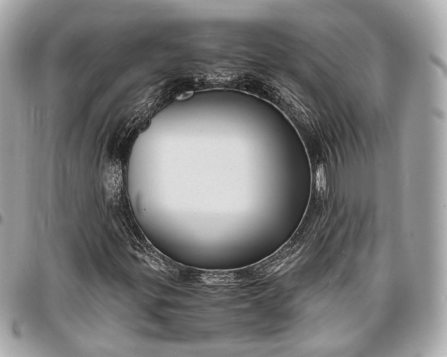 X0000096981299200802221425