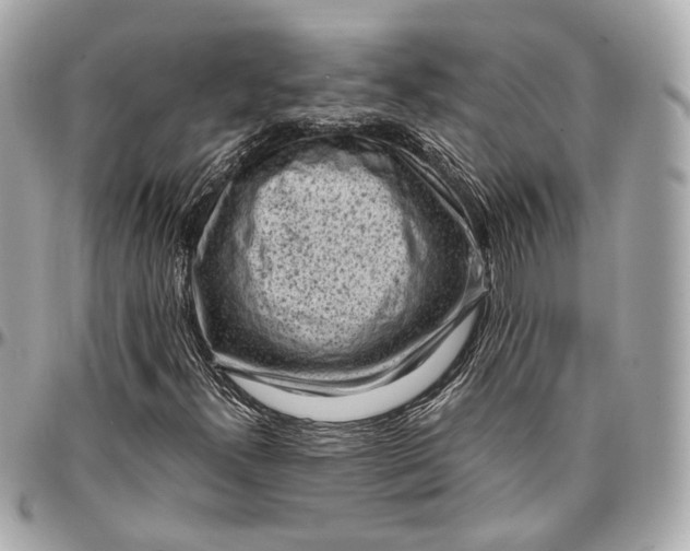 X0000096981300200802221425