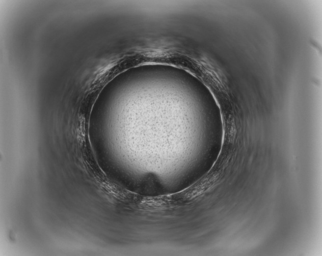 X0000096981301200802221425