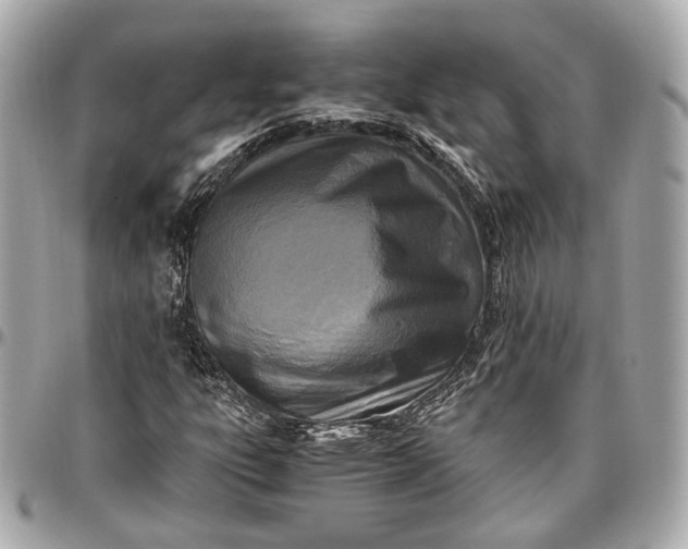 X0000096981303200802221425