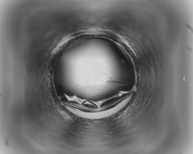 X0000096981304200802221425