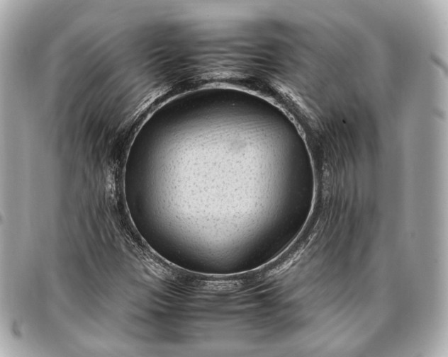 X0000096981305200802221425