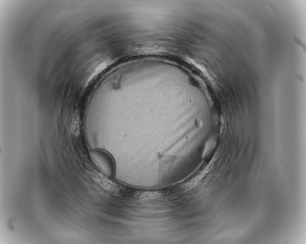 X0000096981306200802221425