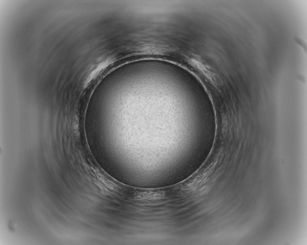 X0000096981307200802221425