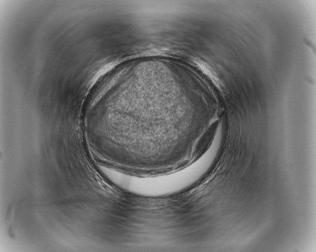 X0000096981308200802221425