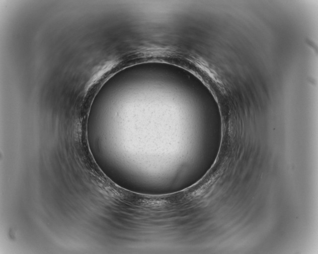 X0000096981309200802221425