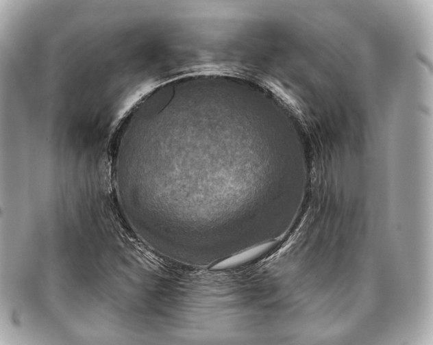 X0000096981310200802221425