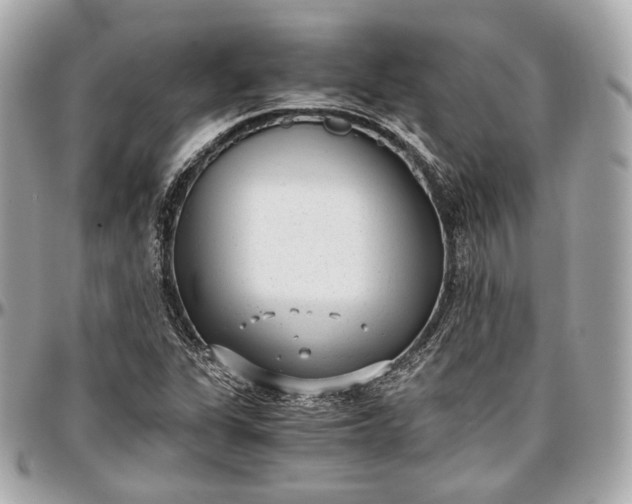 X0000096981311200802221425