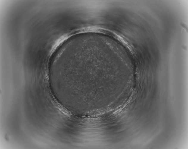 X0000096981312200802221425