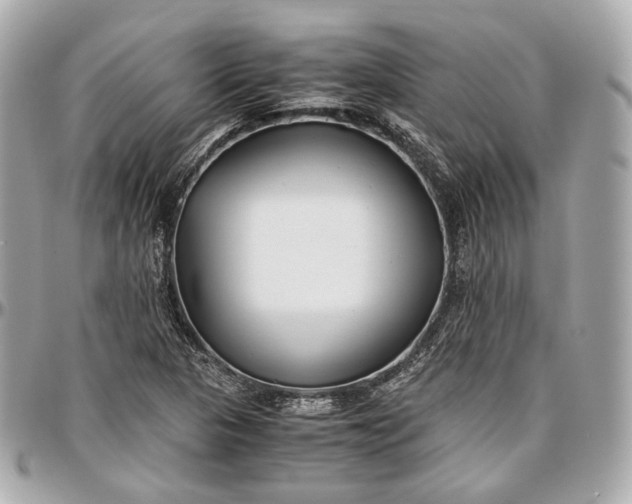 X0000096981313200802221425