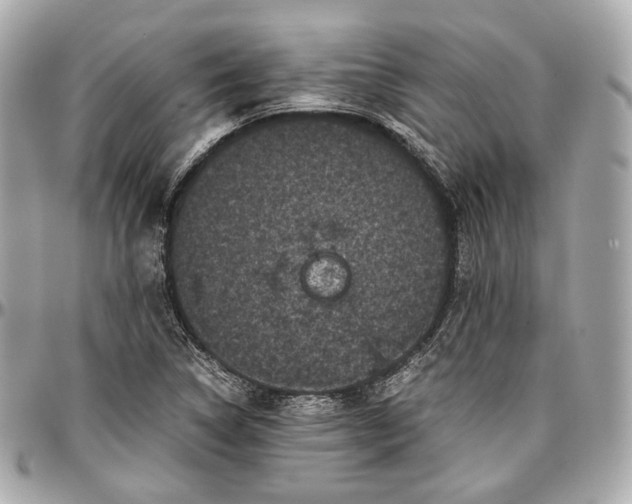 X0000096981314200802221425