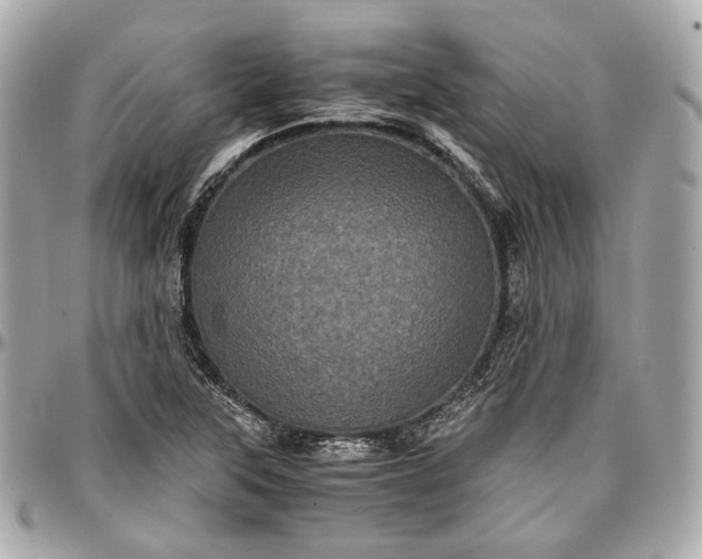 X0000096981315200802221425