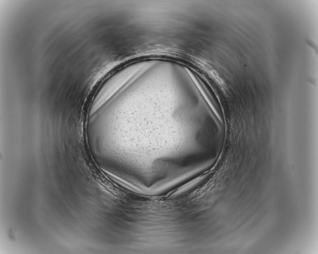 X0000096981316200802221425