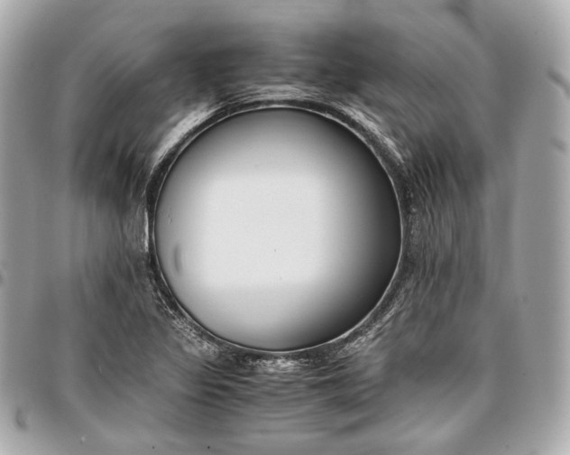 X0000096981317200802221425