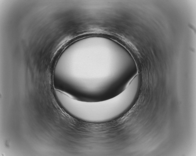 X0000096981318200802221425