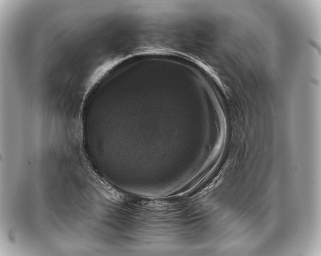 X0000096981319200802221425