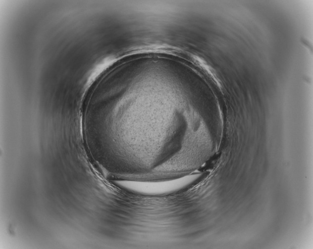 X0000096981320200802221425