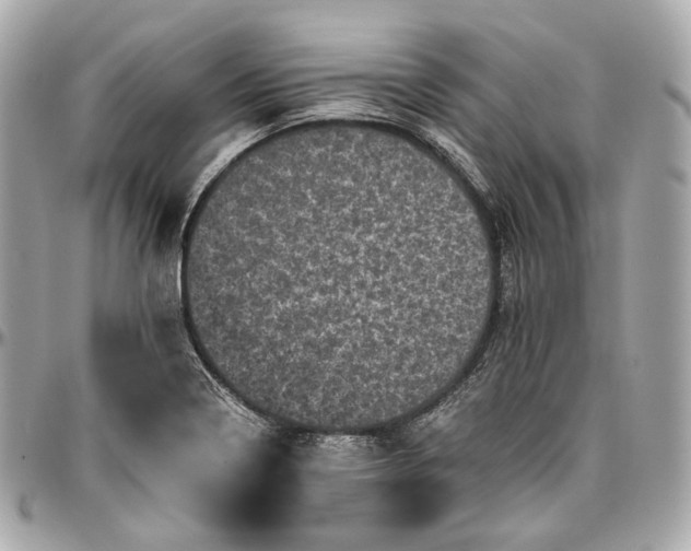 X0000096981322200802221425