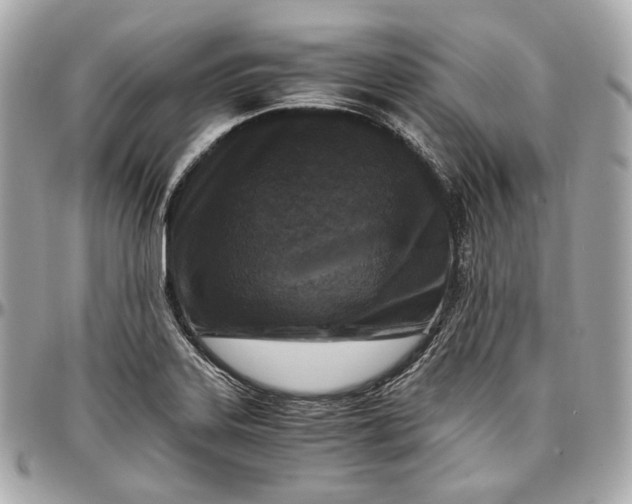 X0000096981323200802221425