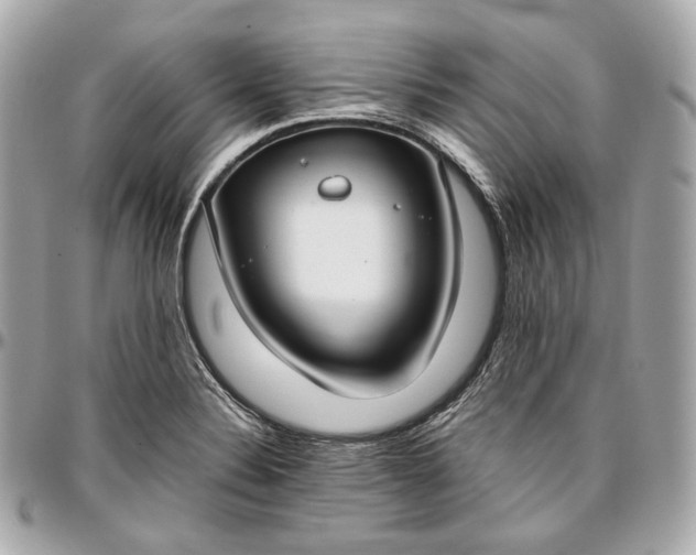 X0000096981324200802221425