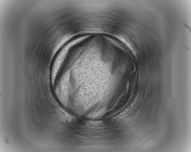 X0000096981325200802221425