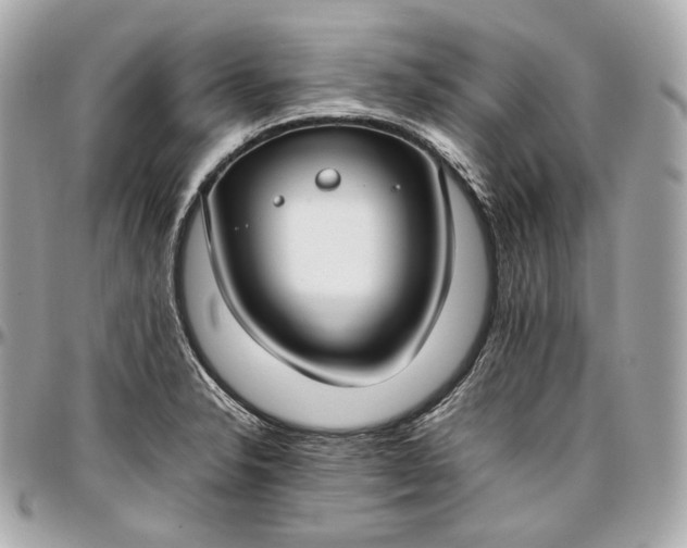 X0000096981326200802221425