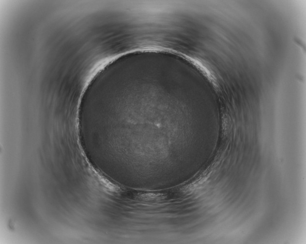 X0000096981327200802221425