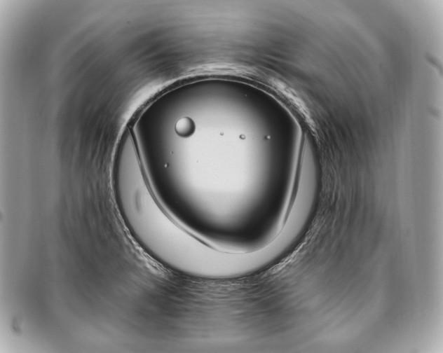 X0000096981328200802221425