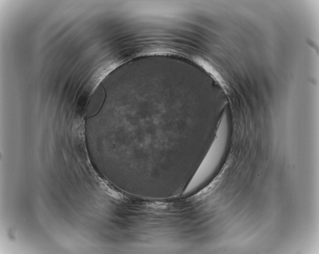 X0000096981329200802221425