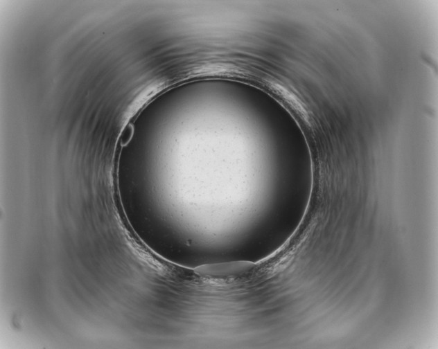 X0000096981330200802221425